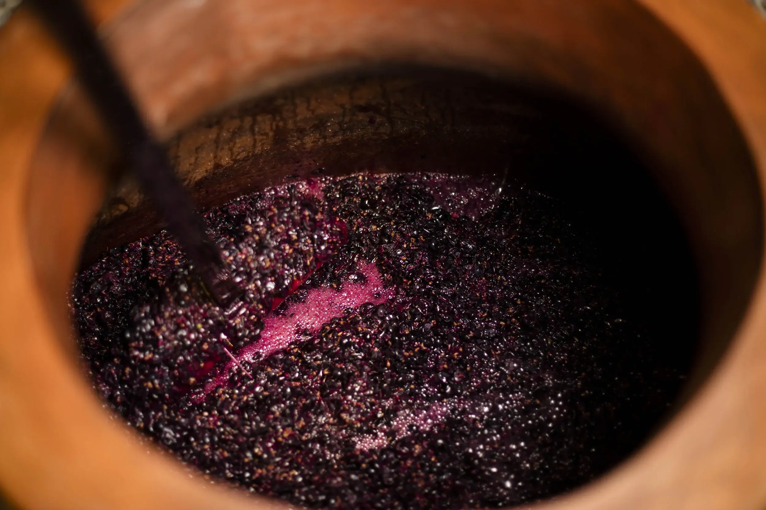 Avondale vineyard and estate — image 3