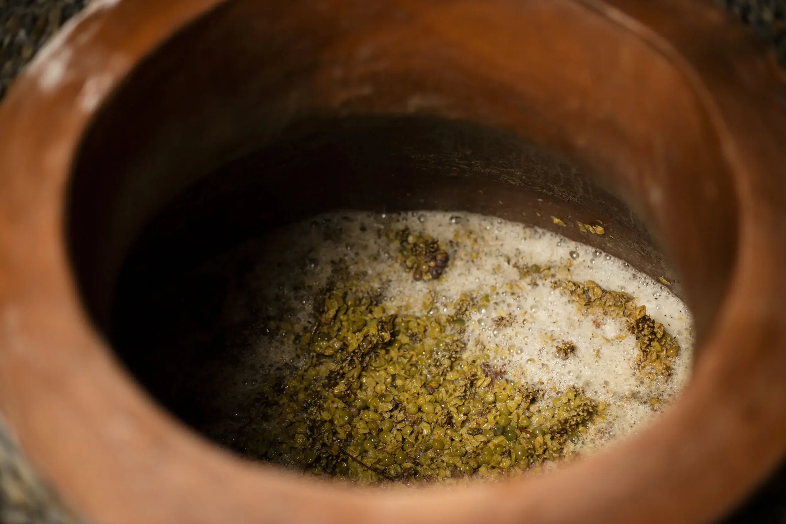 Avondale vineyard and estate — image 4