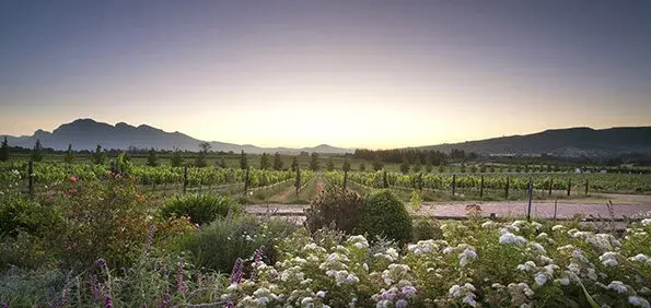 Avondale vineyard and estate — image 5