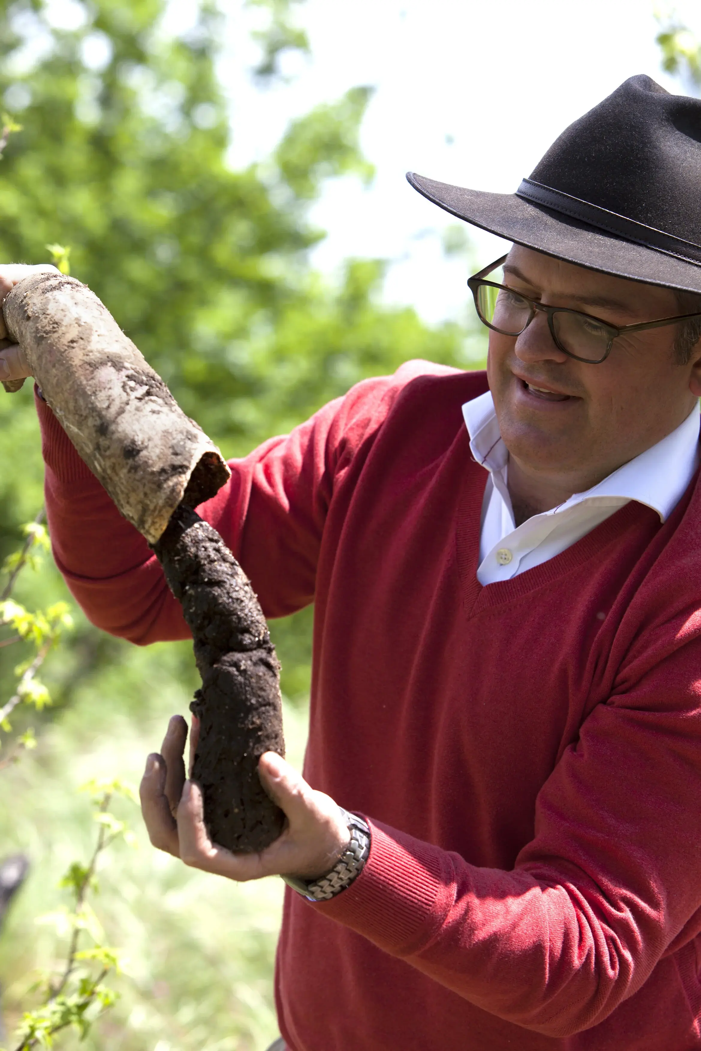 Avondale vineyard and estate — image 10