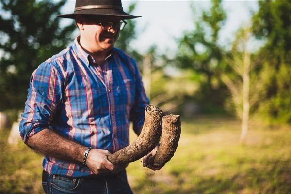 Avondale vineyard and estate — image 11