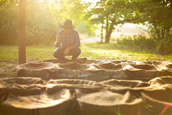 Avondale vineyard and estate — image 12