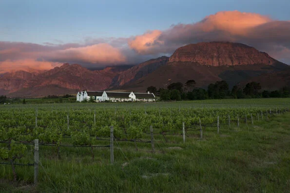 Avondale vineyard and estate — image 13