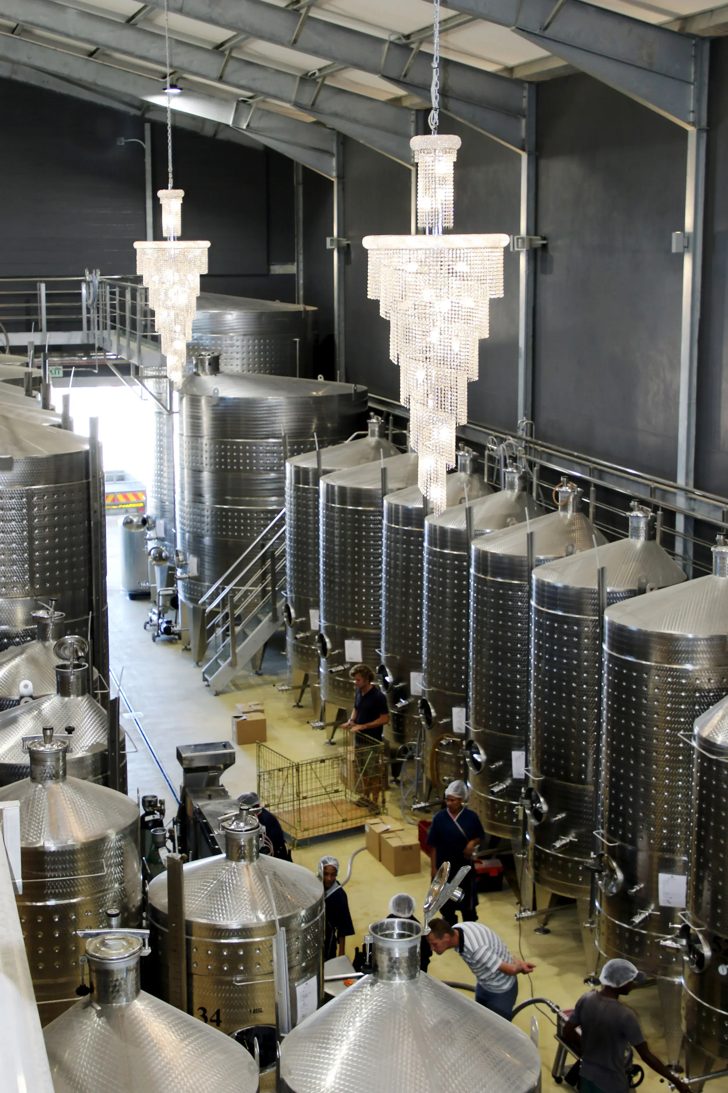 Benguela Cove vineyard