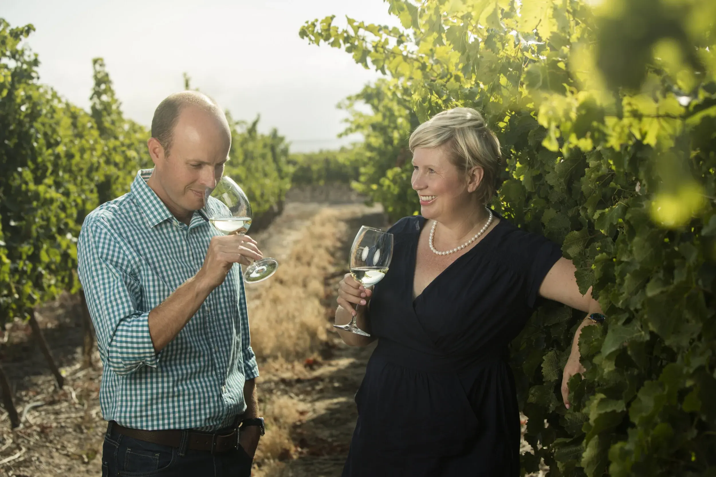 Benguela Cove vineyard and estate — image 4