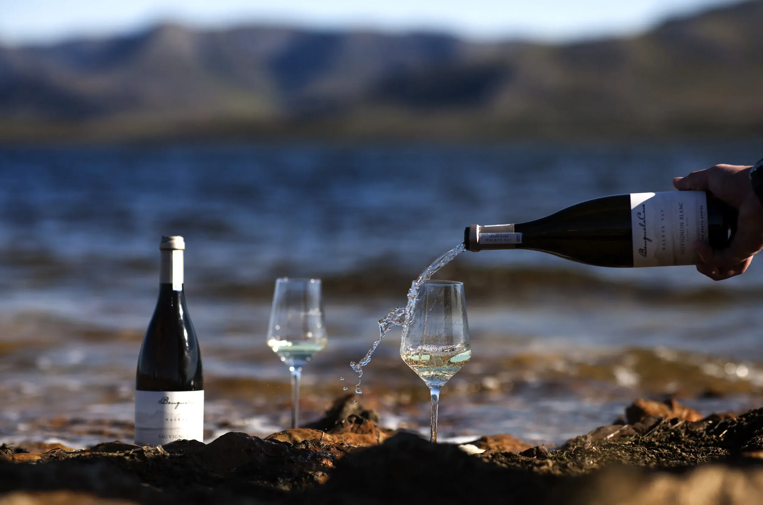 Benguela Cove vineyard and estate — image 6