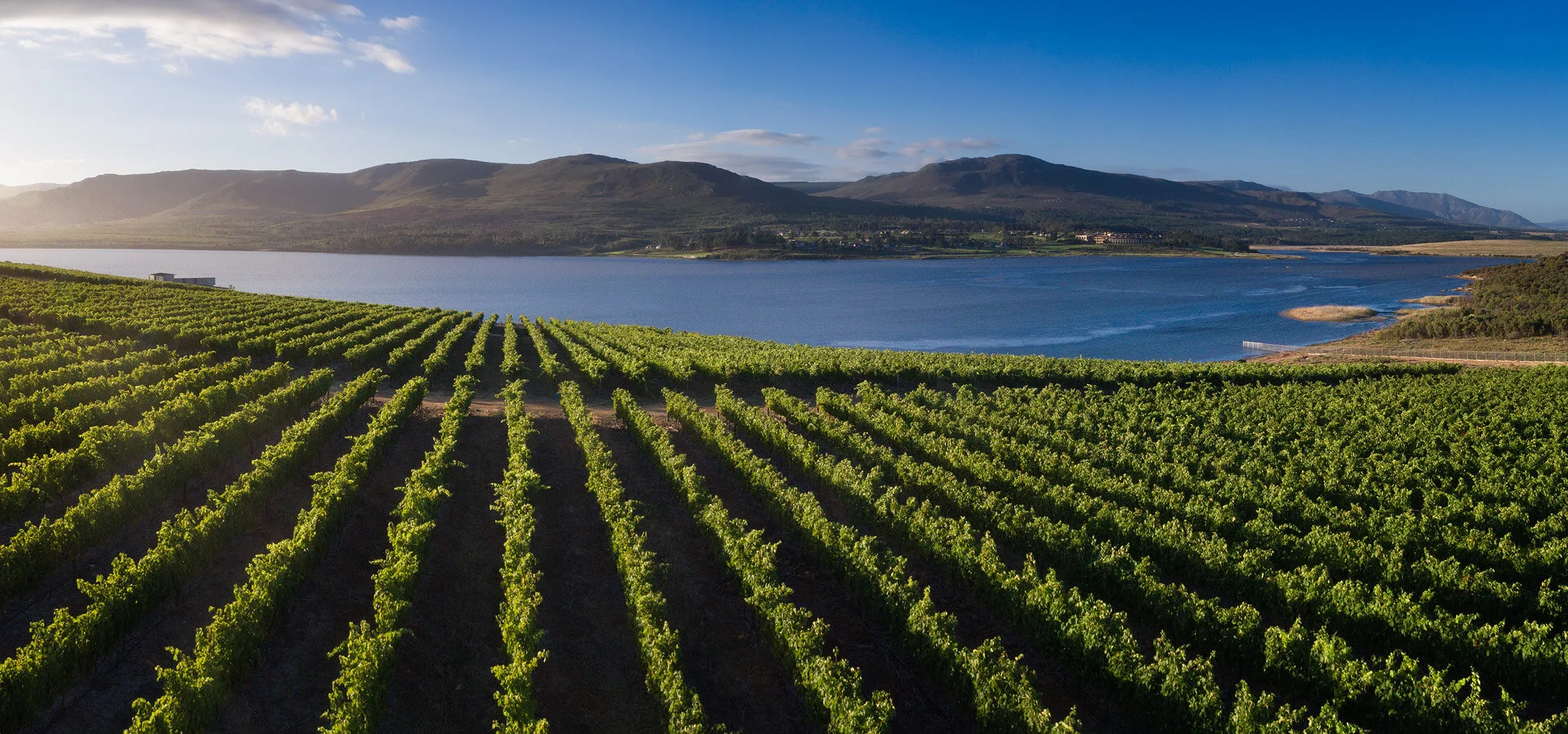 Benguela Cove vineyard and estate — image 7