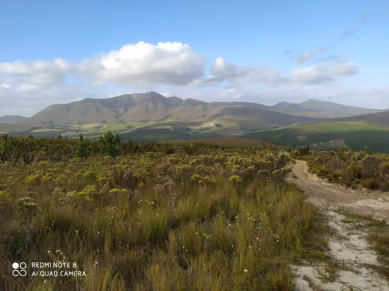 Brunia vineyard and estate — image 2