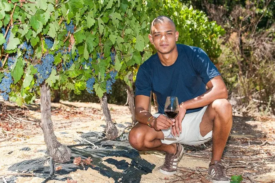 Brunia vineyard and estate — image 4