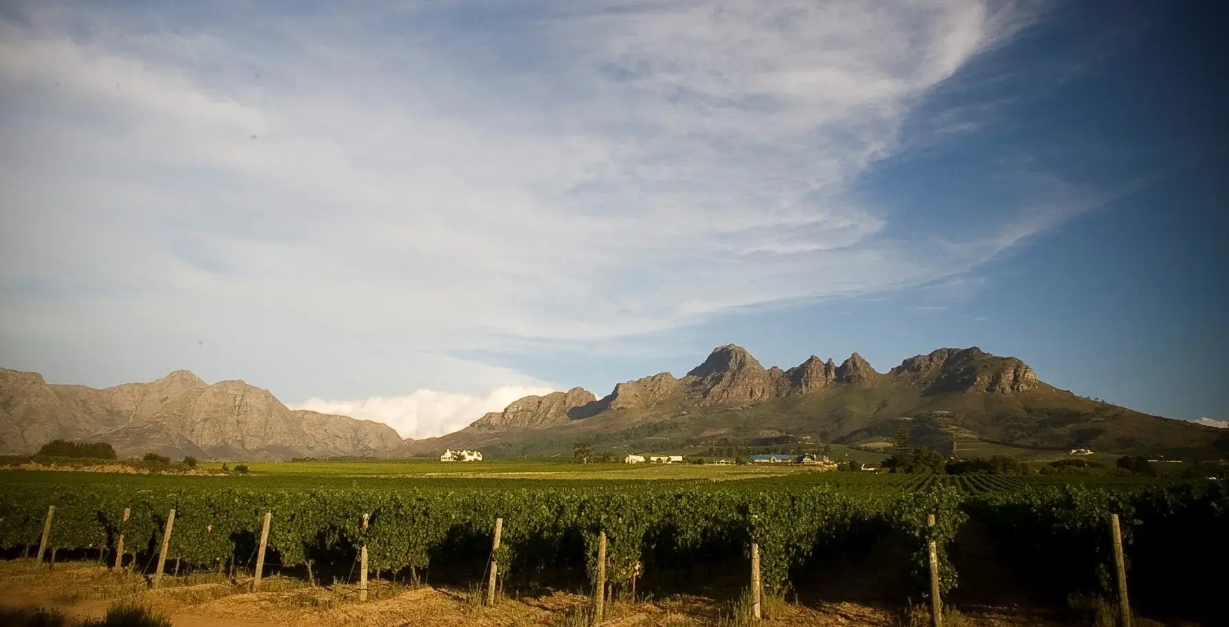 Jasper Raats vineyard and estate — image 2