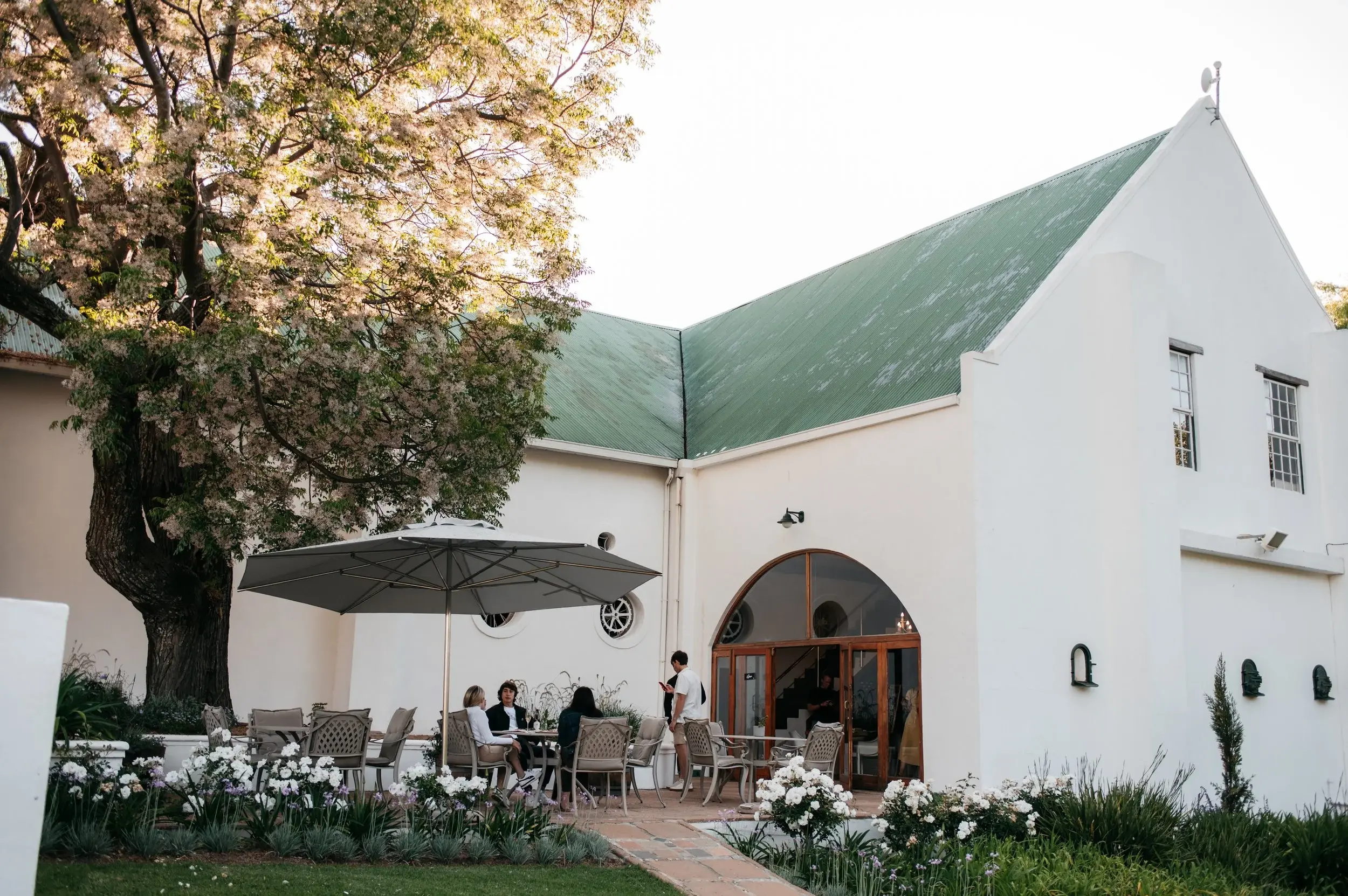 Knorhoek vineyard and estate — image 5