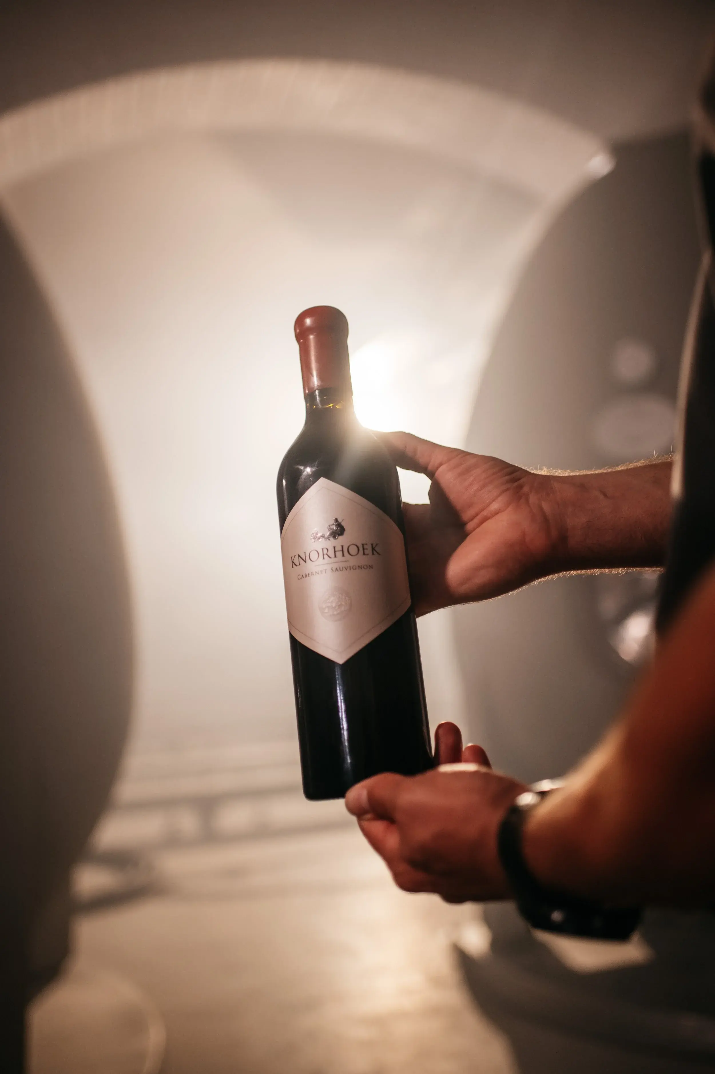 Knorhoek vineyard and estate — image 6