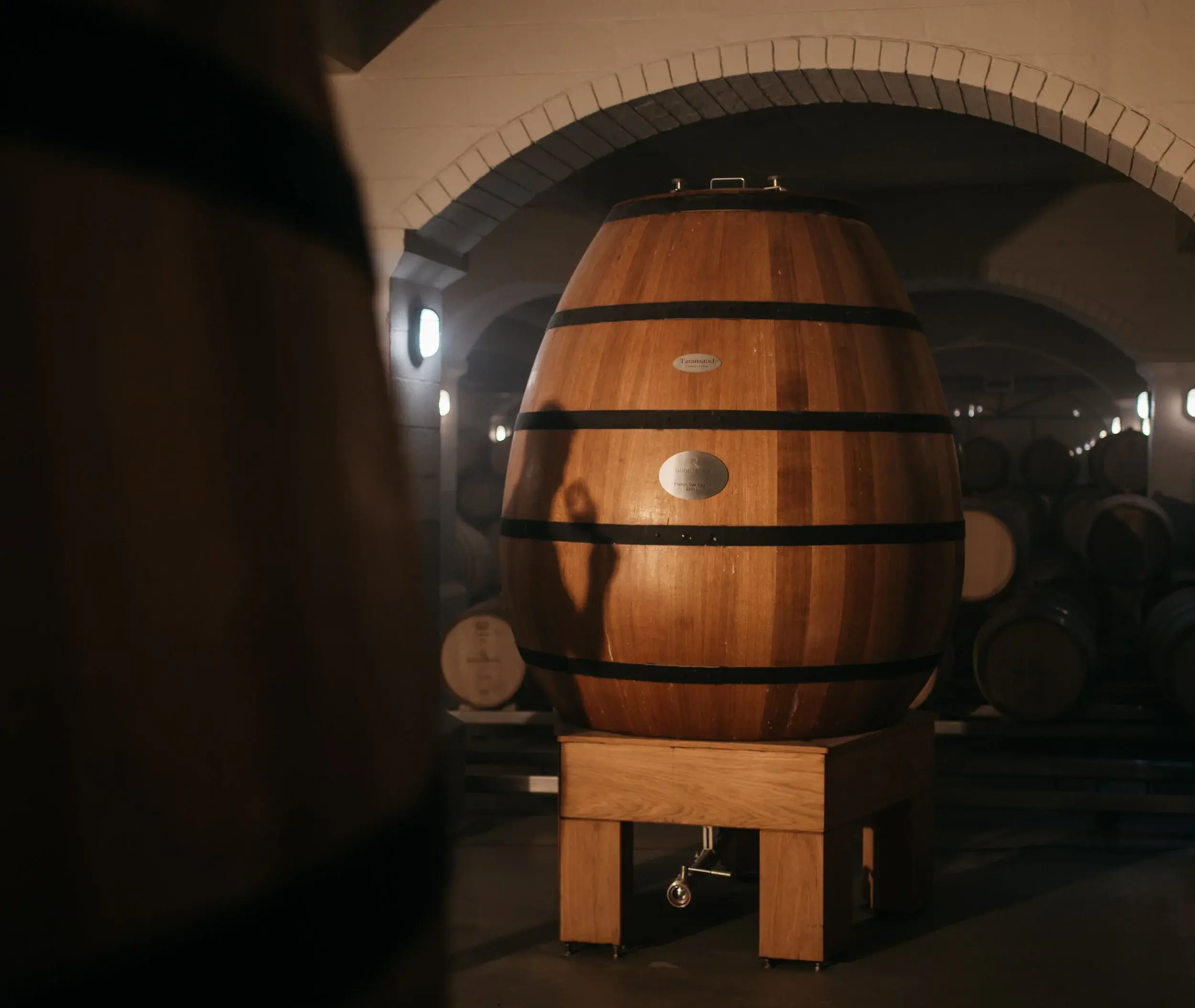 Knorhoek vineyard and estate — image 7