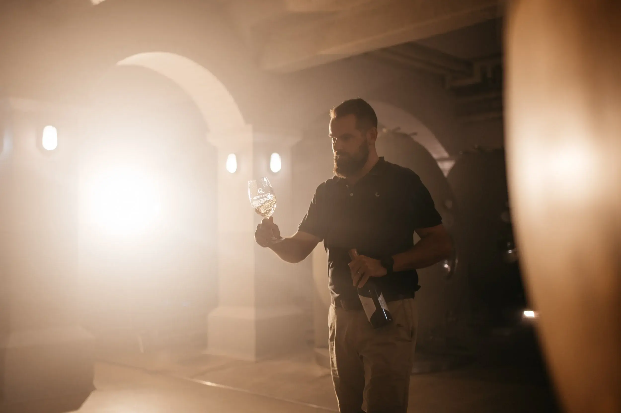 Knorhoek vineyard and estate — image 8