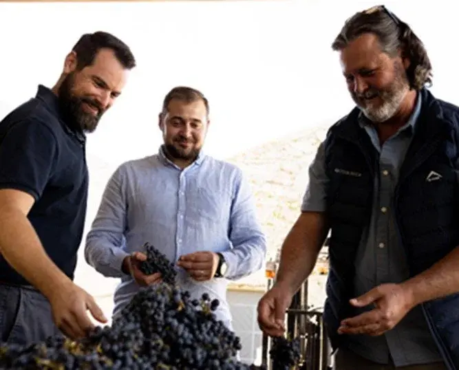 Knorhoek vineyard and estate — image 11