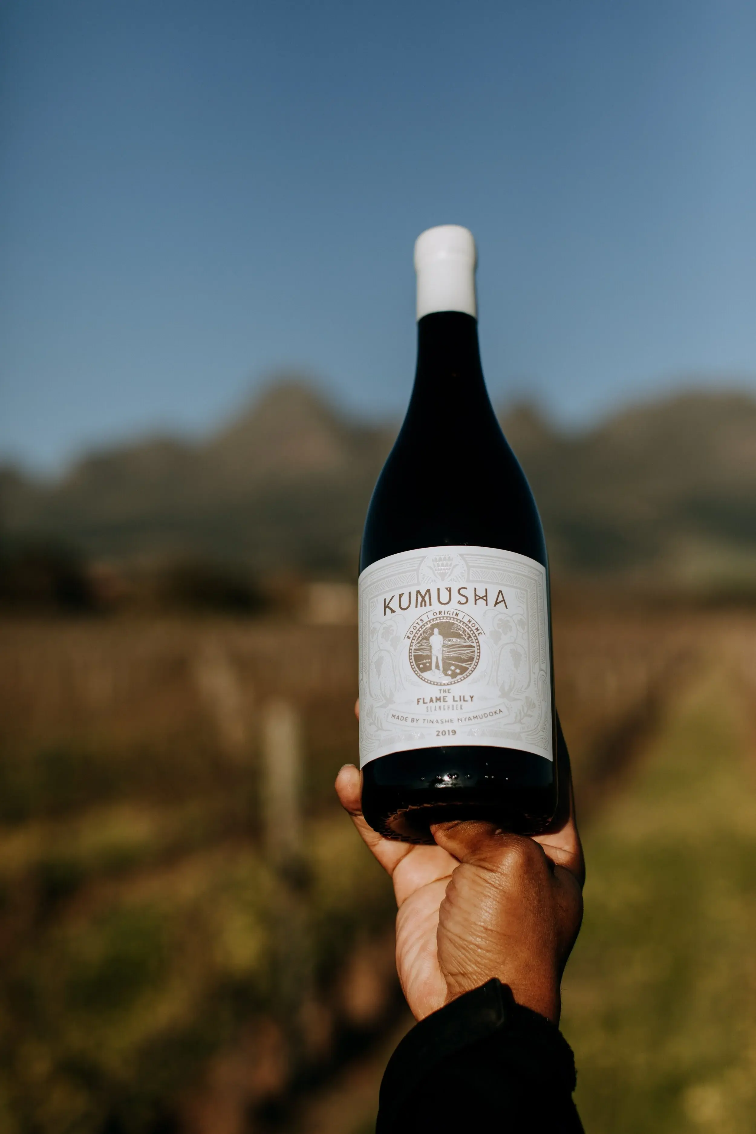 Kumusha vineyard and estate — image 3