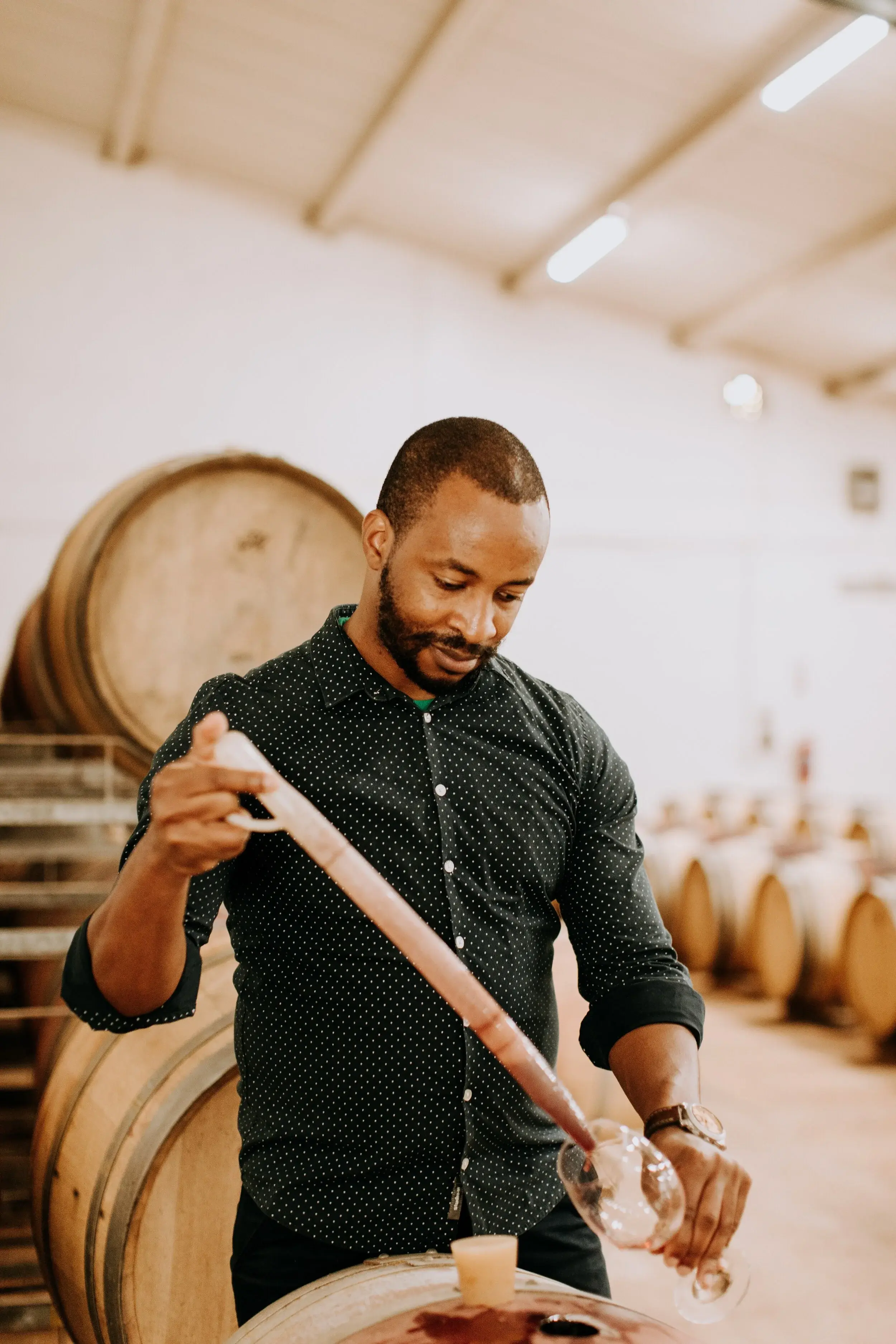 Kumusha vineyard and estate — image 4