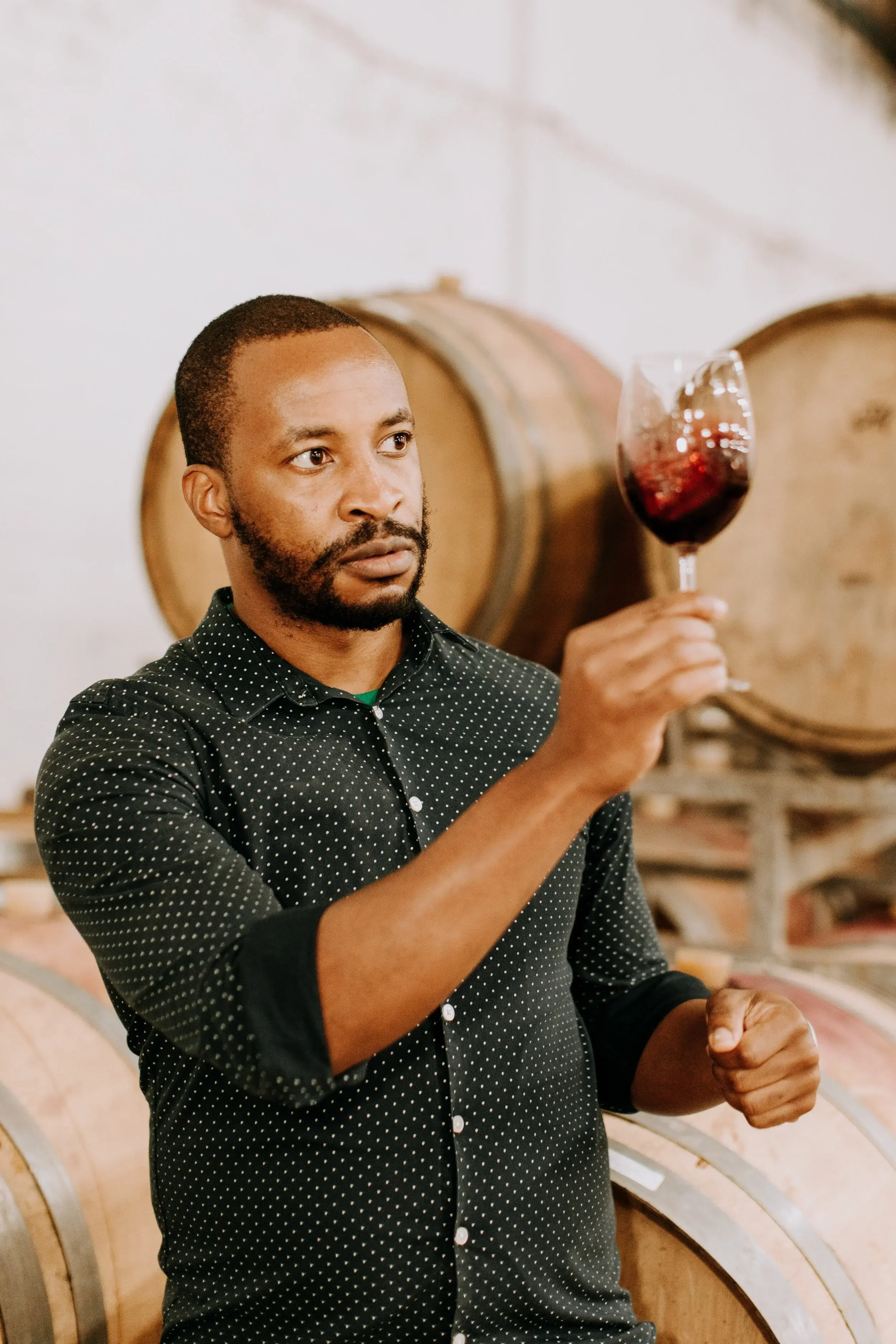 Kumusha vineyard and estate — image 5