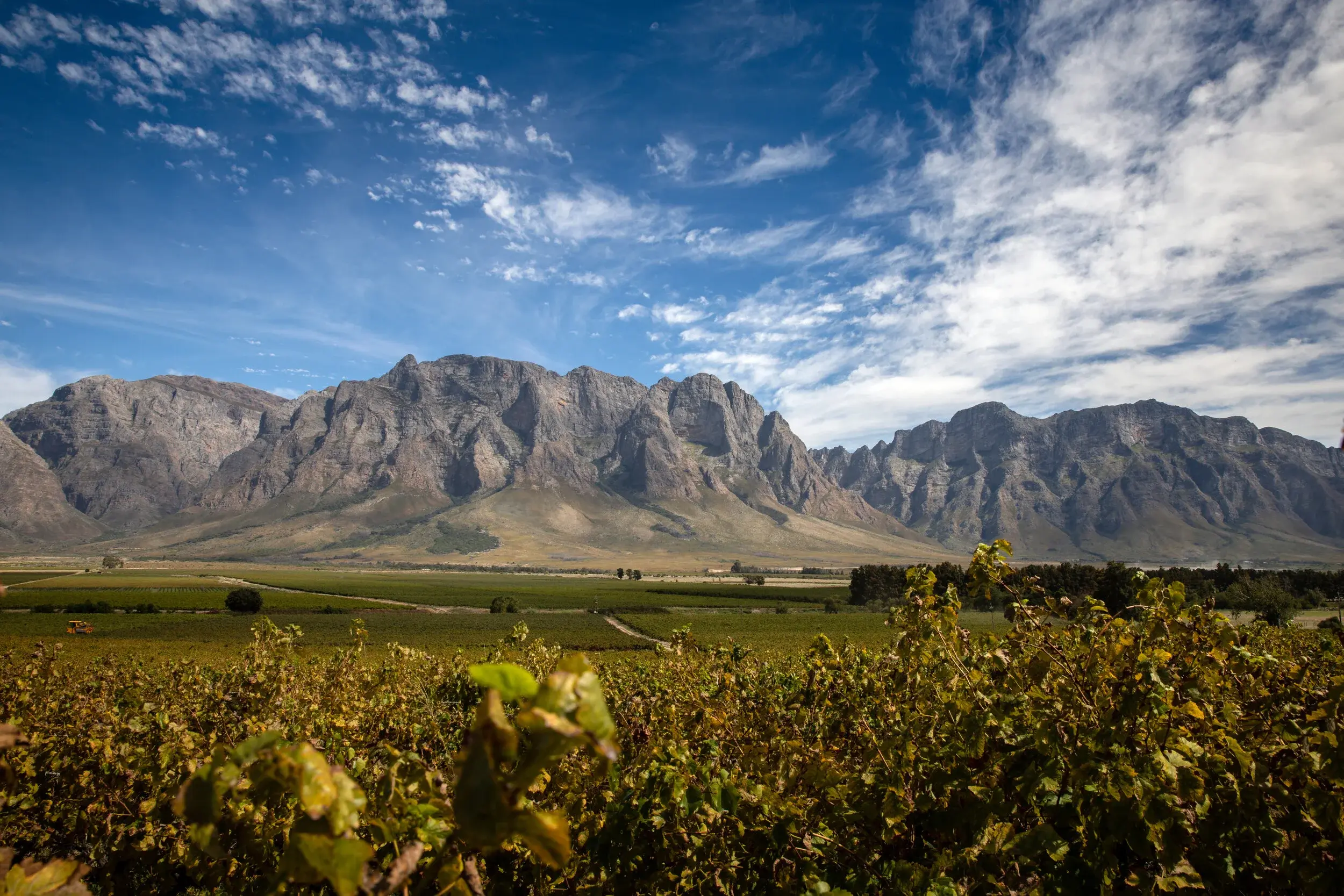 Kumusha vineyard and estate — image 8