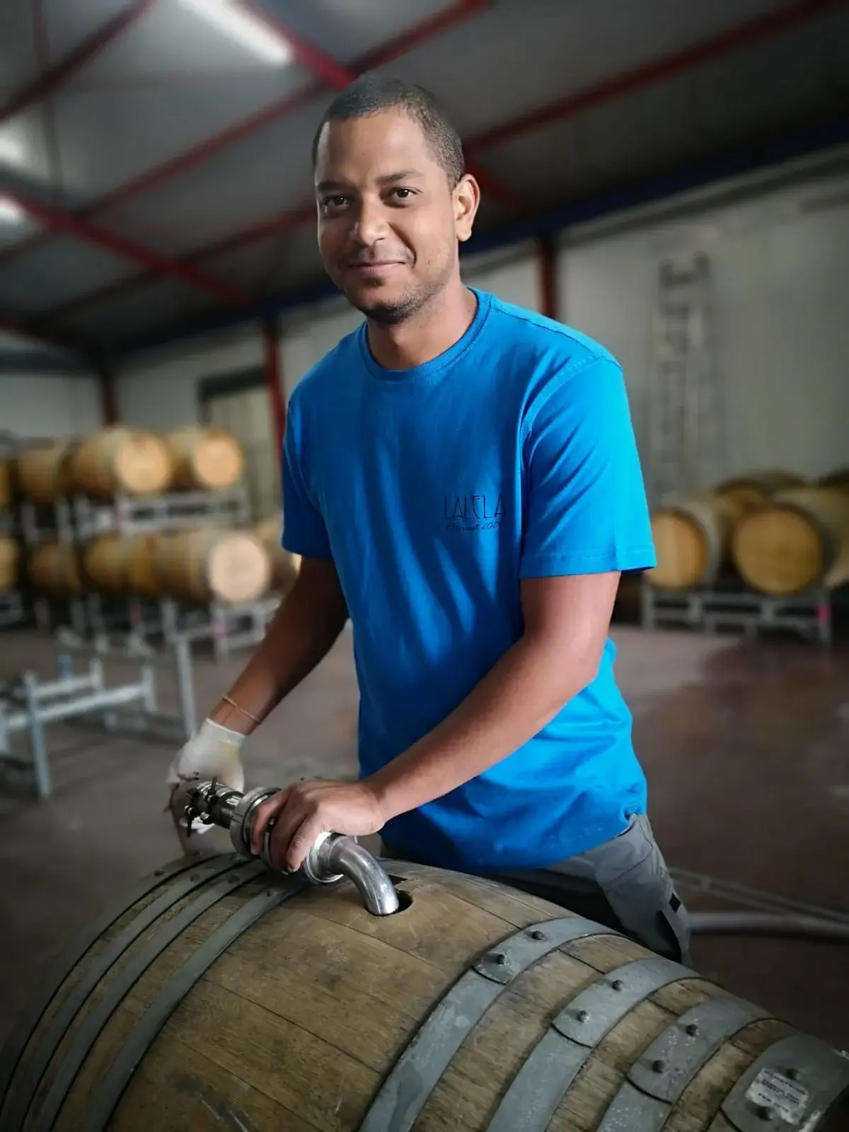 Lalela vineyard and estate — image 4