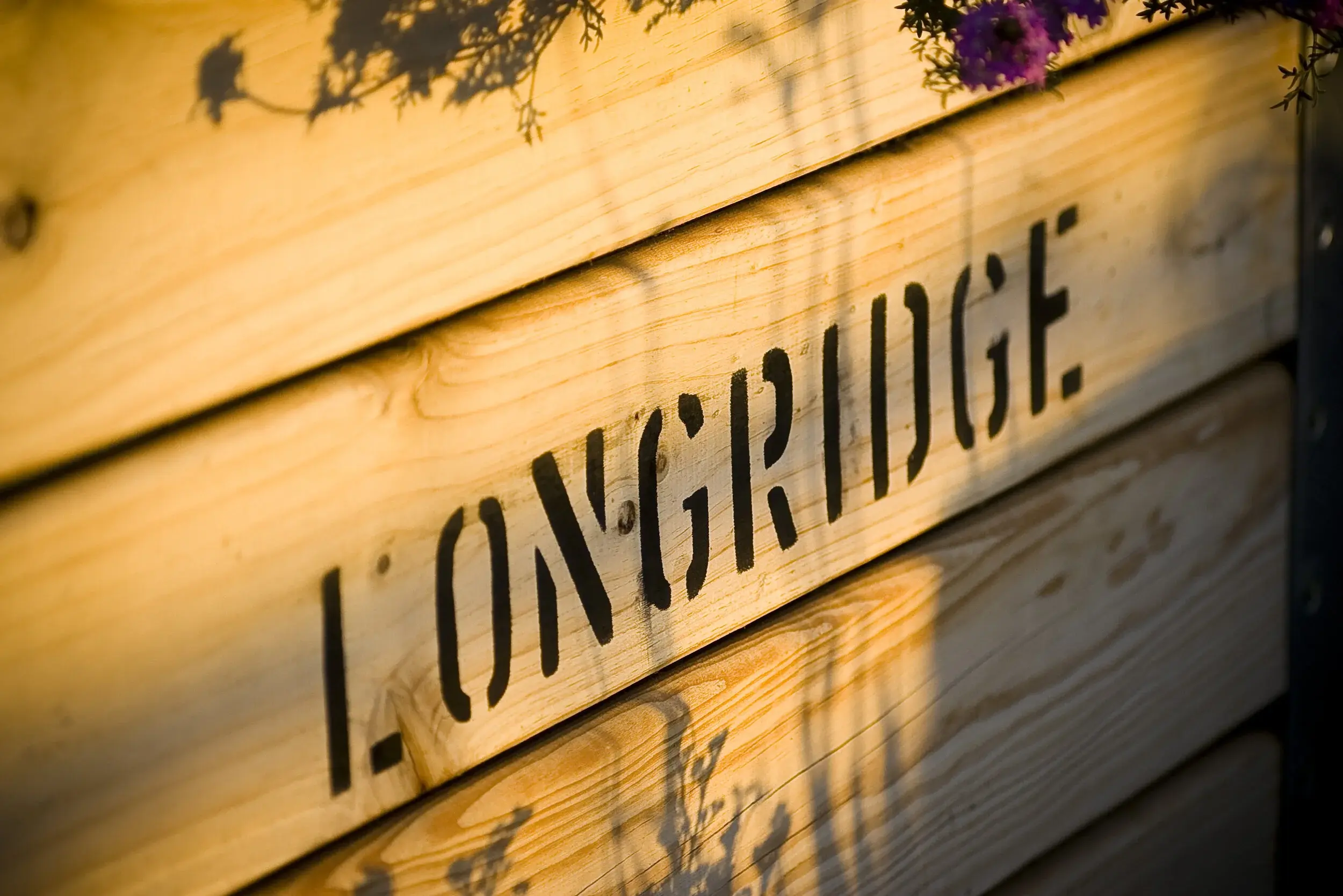 Longridge vineyard and estate — image 5