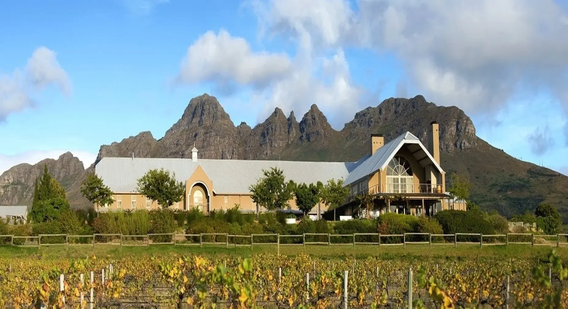 Longridge vineyard and estate — image 7