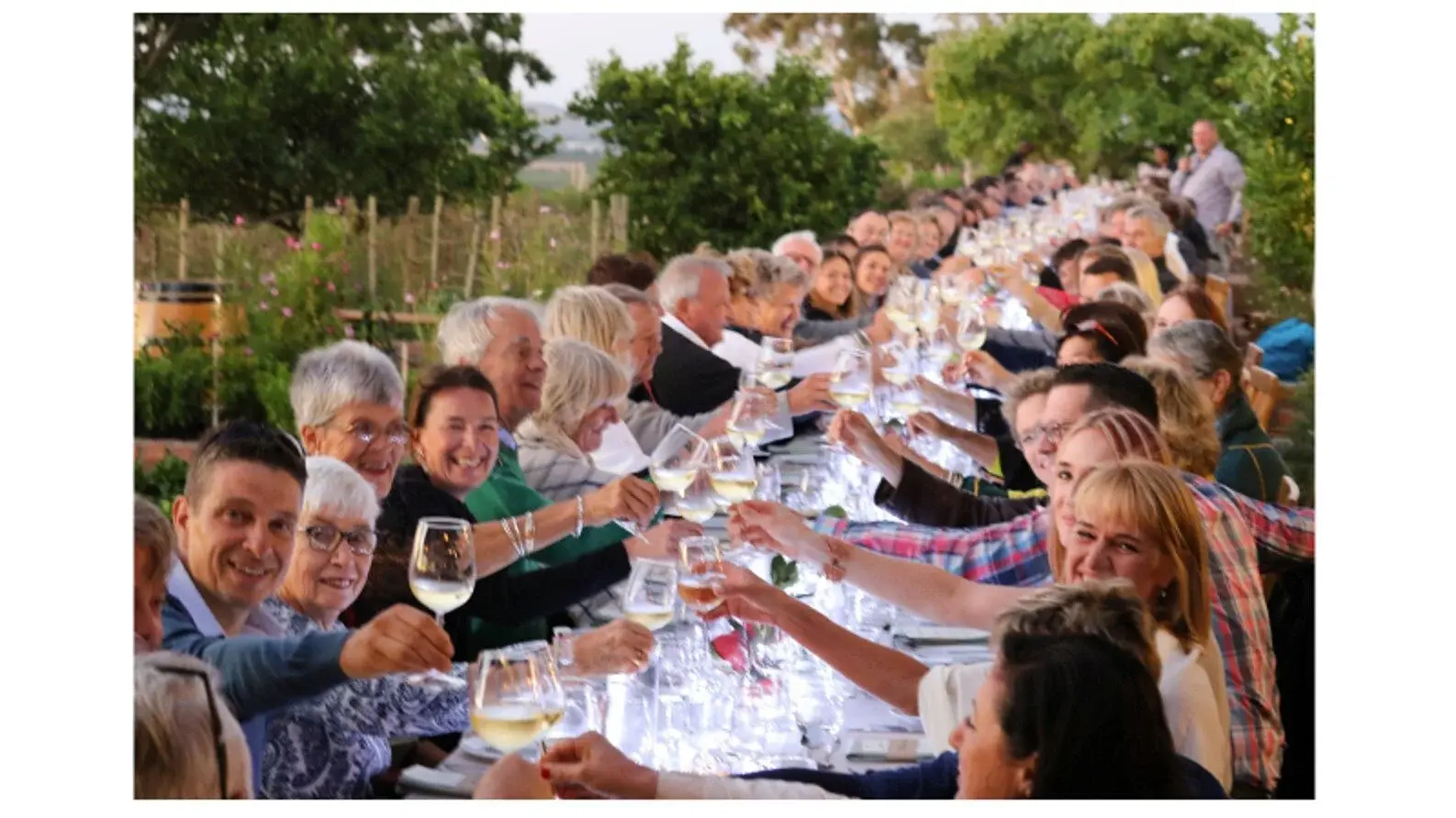 Longridge vineyard and estate — image 9