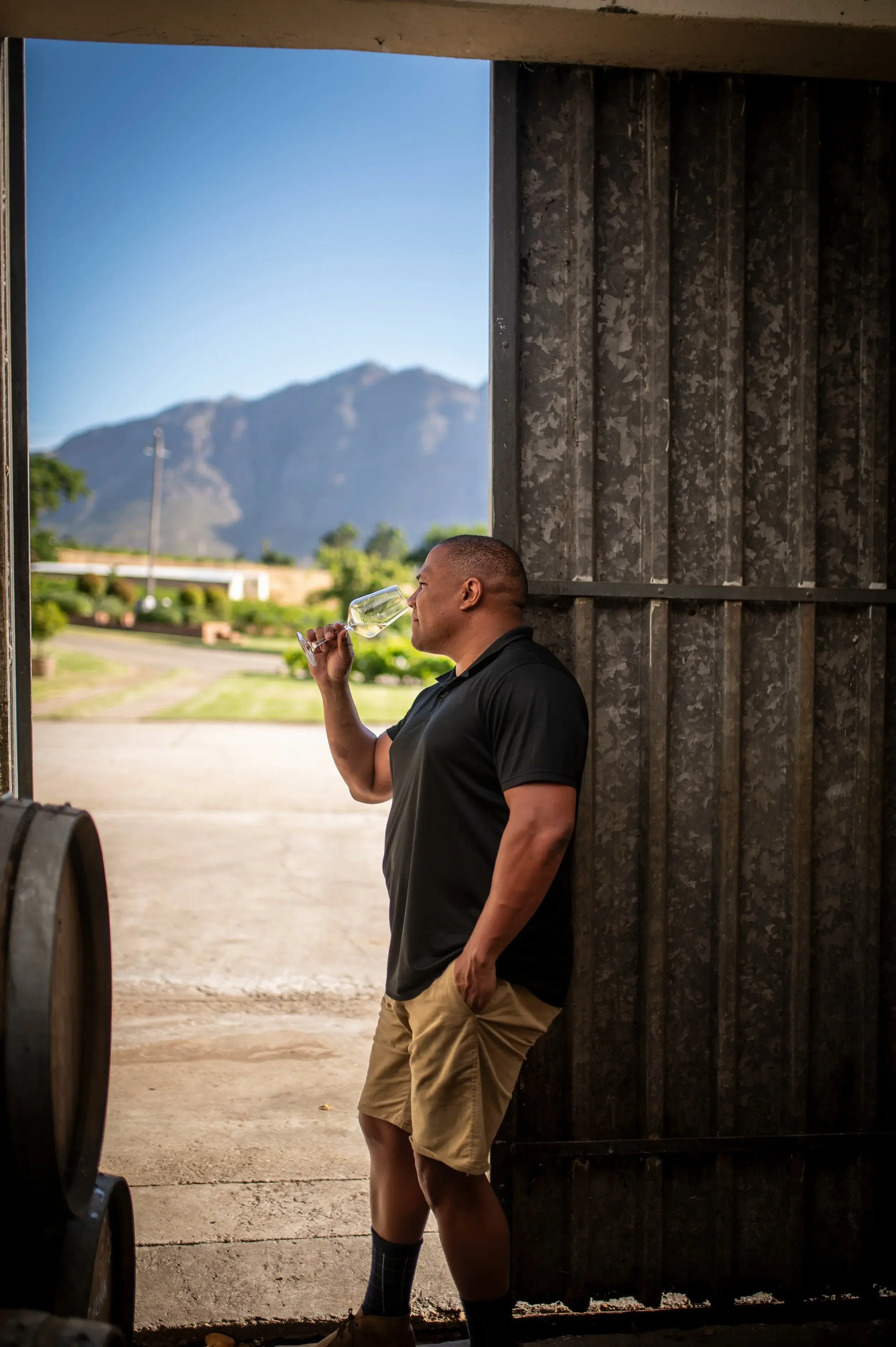 New Dawn vineyard and estate — image 2