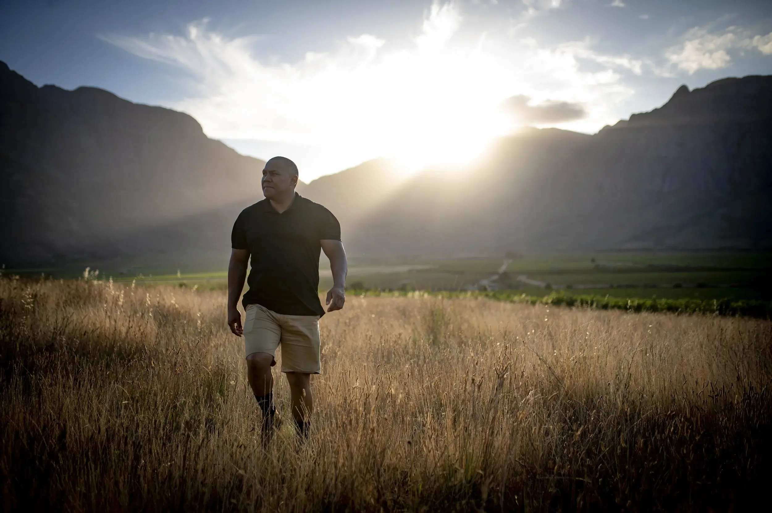 New Dawn vineyard and estate — image 6