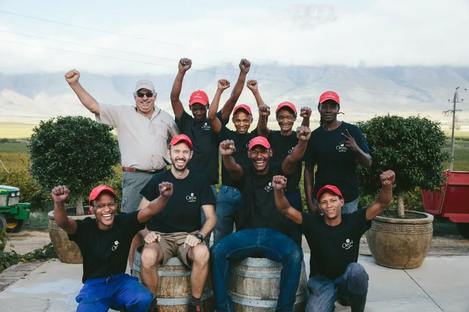 Opstal vineyard and estate — image 4