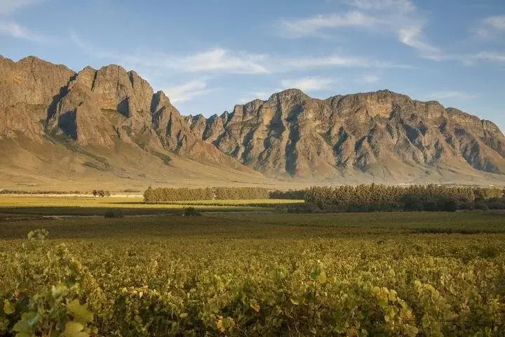 Opstal vineyard and estate — image 2