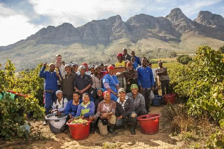 Opstal vineyard and estate — image 7