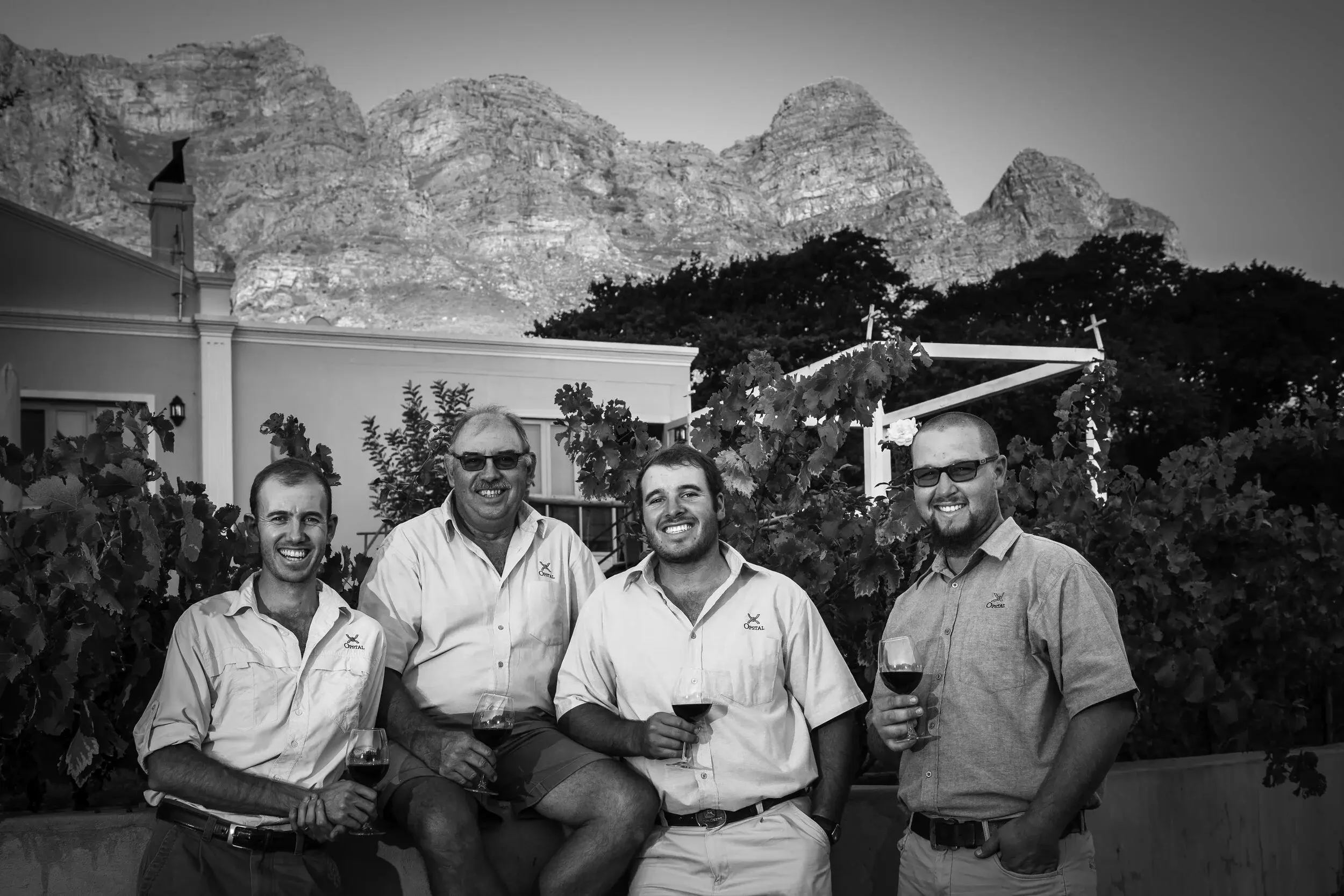 Opstal vineyard and estate — image 9