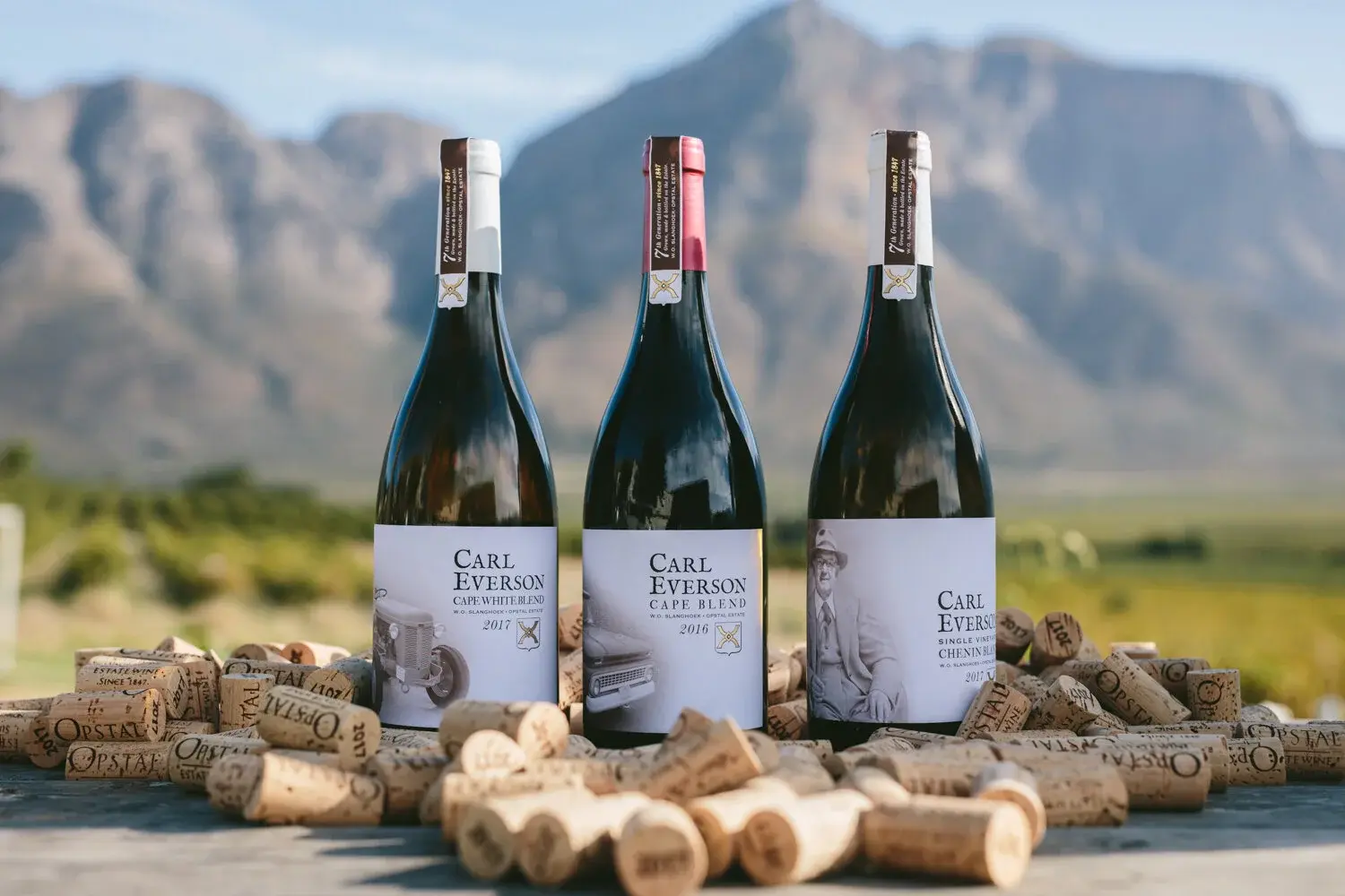 Opstal vineyard and estate — image 10