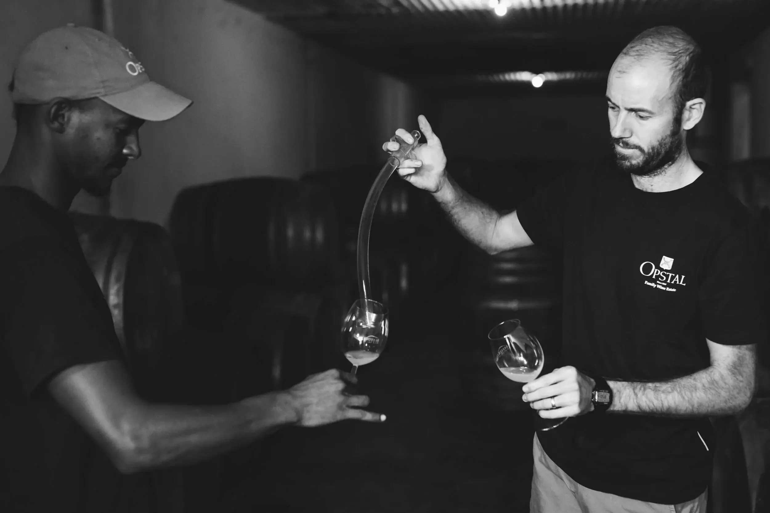 Opstal vineyard and estate — image 11