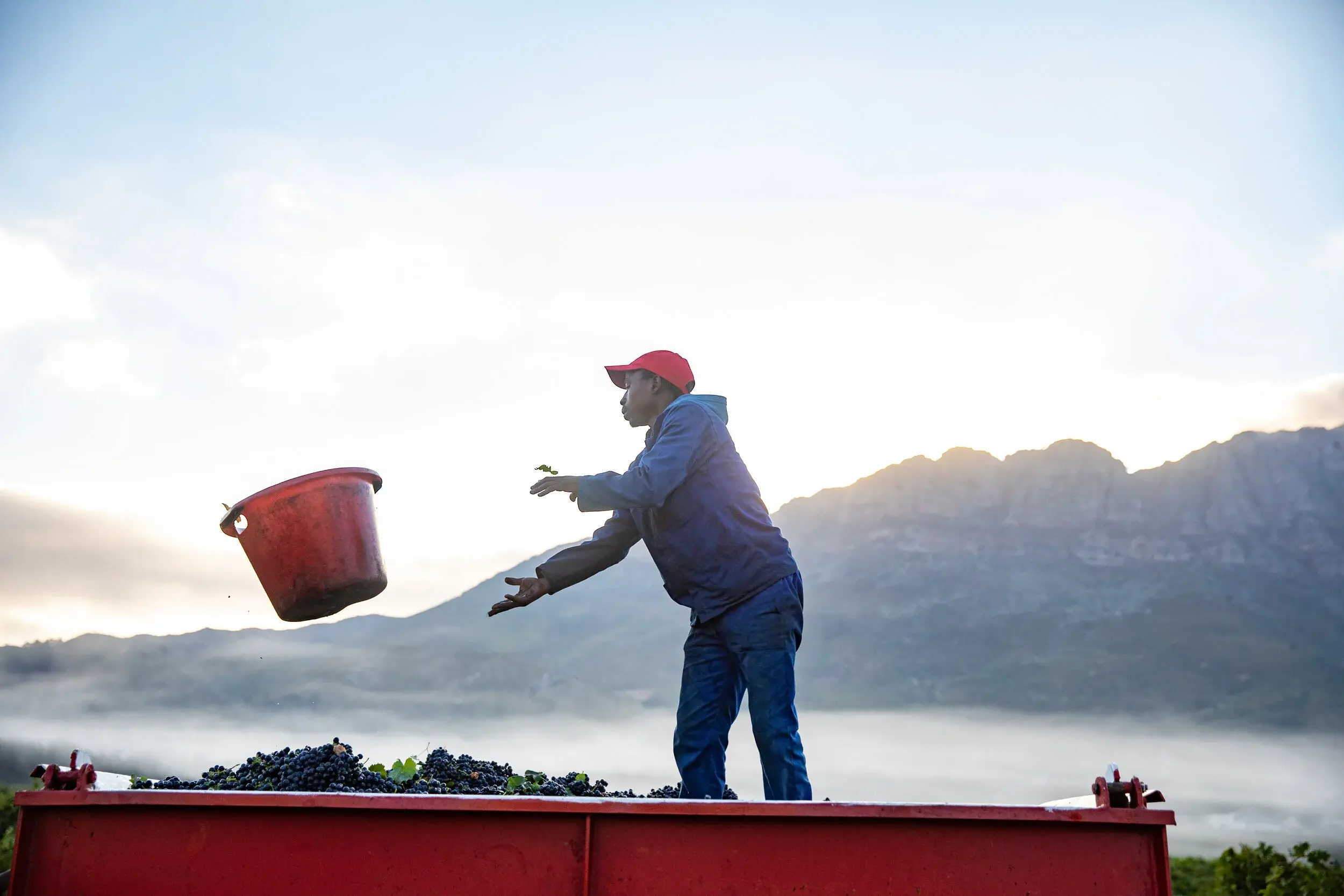 Opstal vineyard and estate — image 13