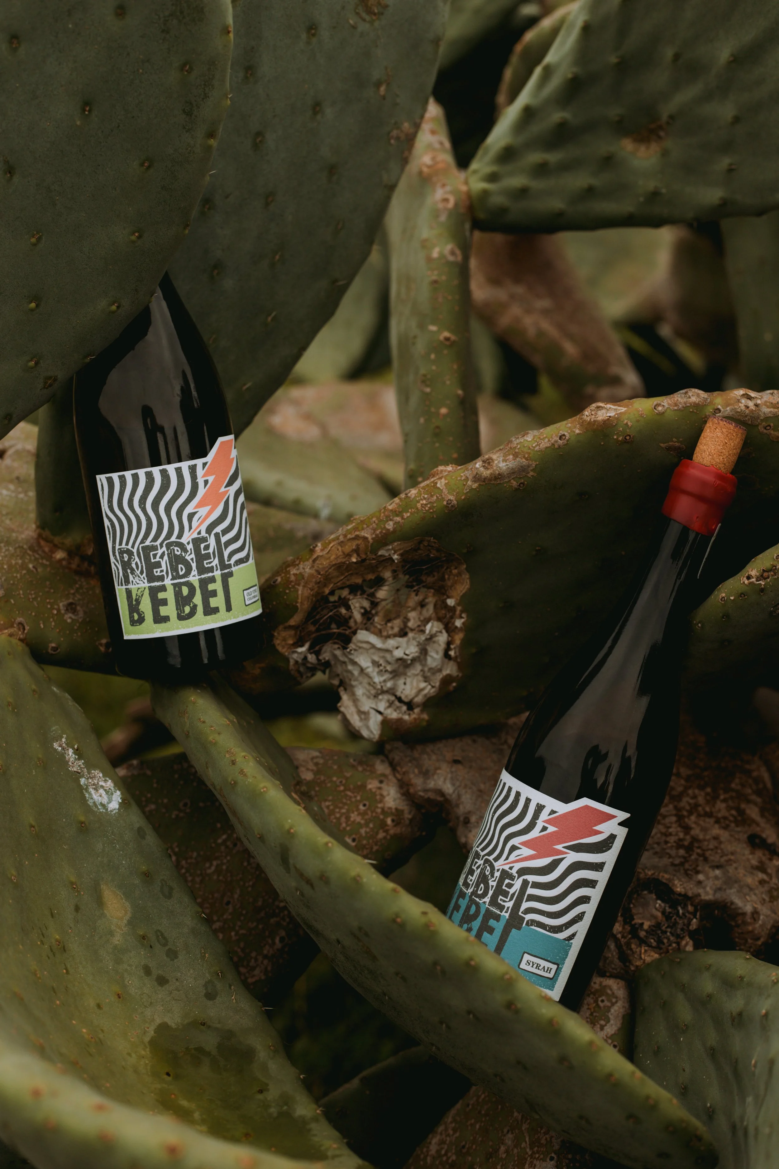 Rebel Rebel vineyard and estate — image 10