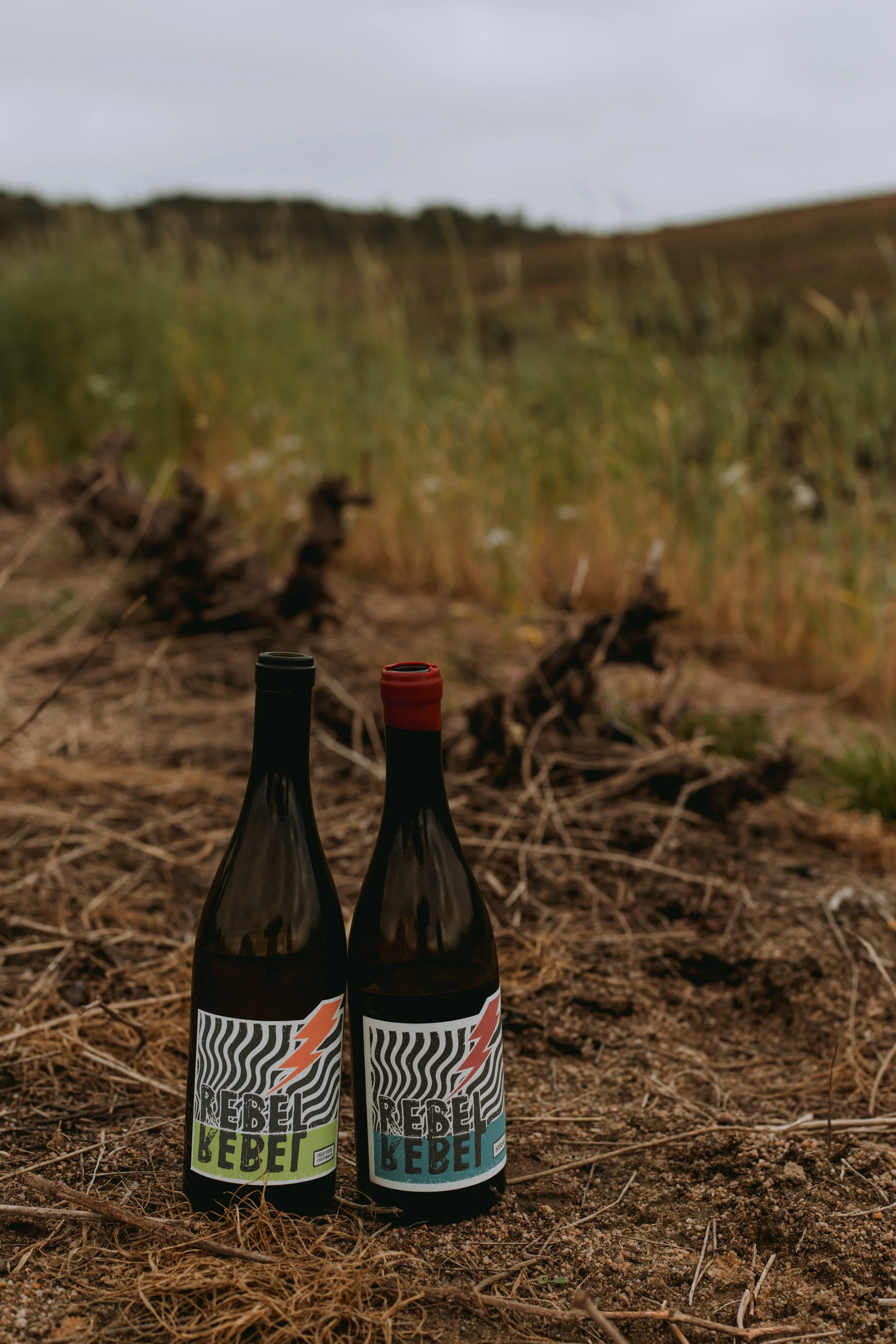 Rebel Rebel vineyard and estate — image 11